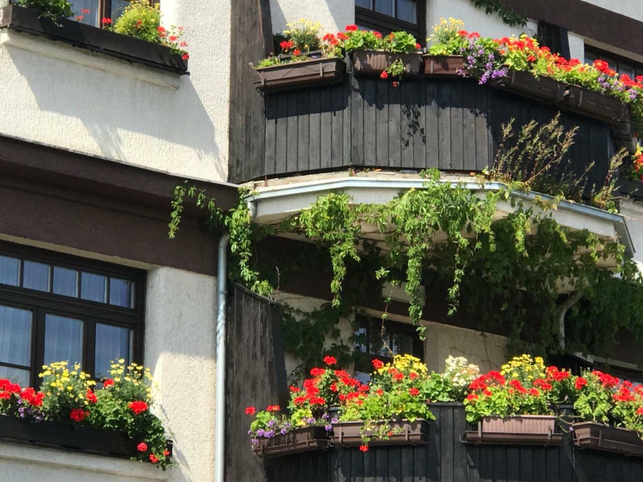 Antik Hotel Sofia Litomyšl Exterior foto